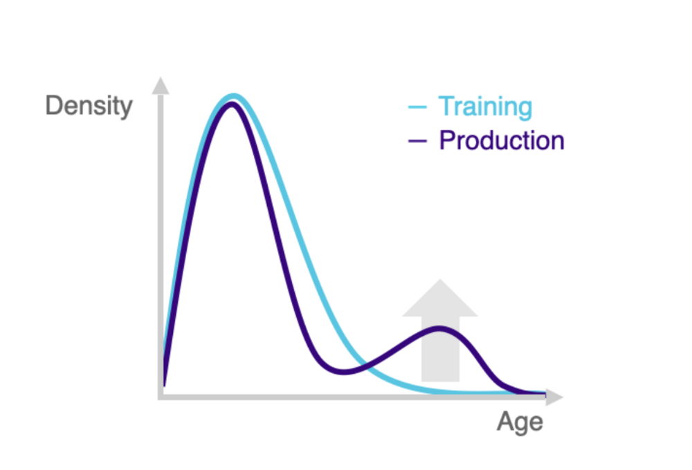 A density distribution plot comparing the age of customers in the training and production sets reveals that the training set is heavily skewed towards lower age values. The production set is similar in shape but with a spike in higher age values.